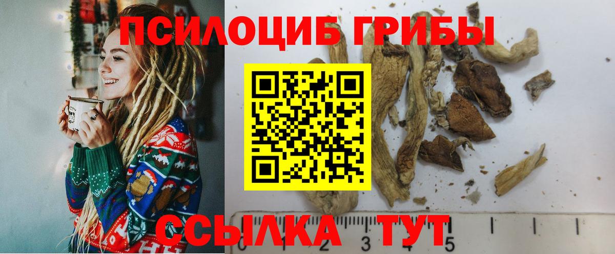 Галлюциногенные грибы MAGIC MUSHROOMS Чернушка