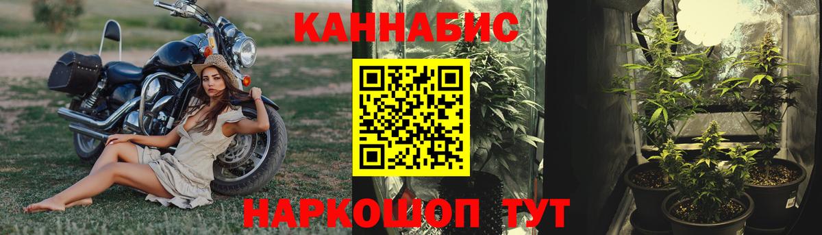 Бошки Шишки индика Чернушка